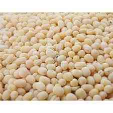 URAD DAL 